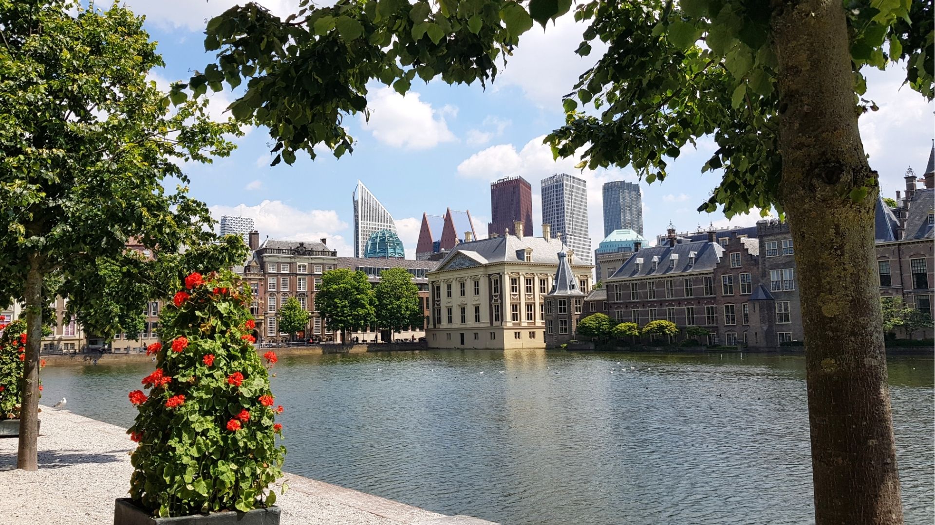 Hofvijver met Mauritshuis Den Haag